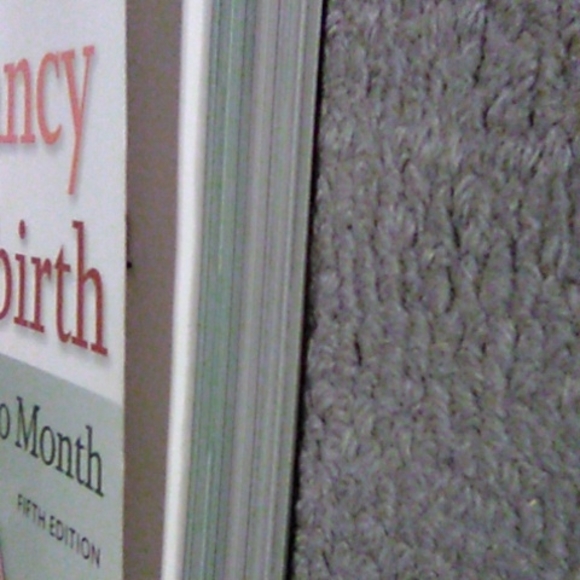 New YOUR PREGNANCY and CHILDBIRTH month to month 5th edition. - Picture 6 of 6